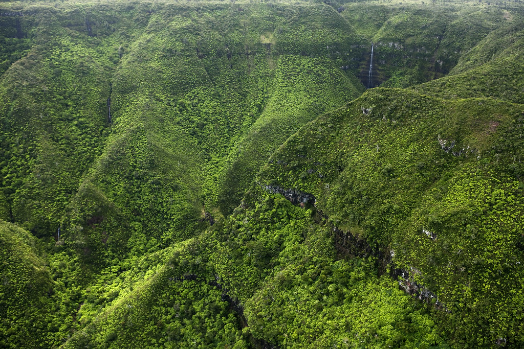 Black River Gorges, Mauritius