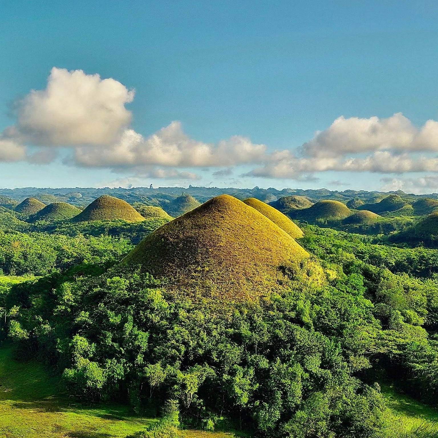 The Chocolate Hills of Bohol, Philippines, with dome-shaped formations and lush green plains.