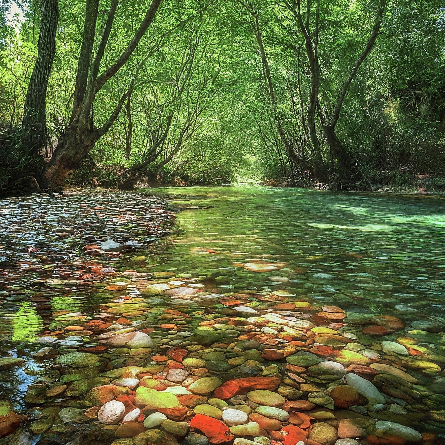 Voidomatis River in Greece