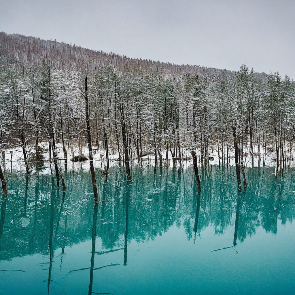 Panoramic view of Blue Pond in Japan with snow on trees.