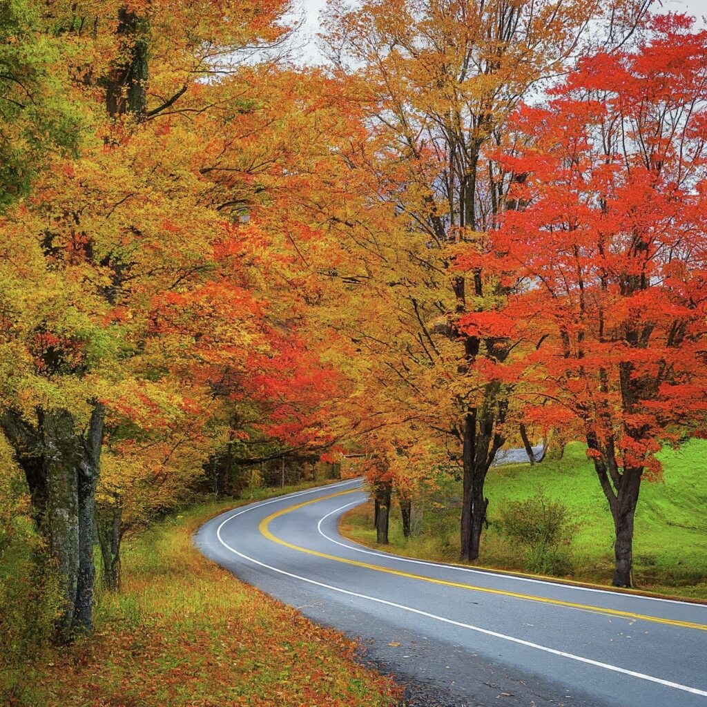 Fall foliage road trip through New England countryside.