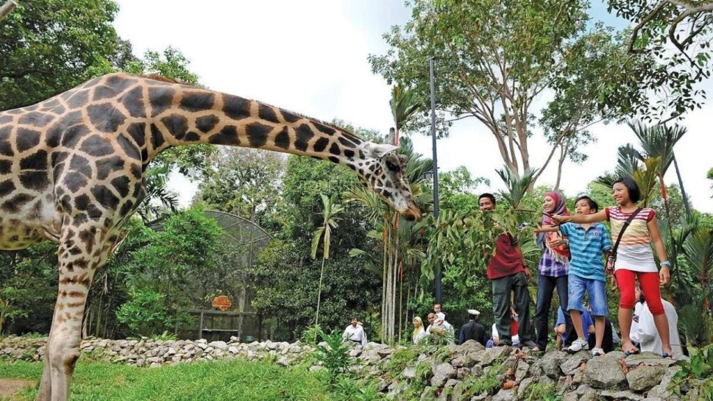 11 Best World Largest Zoo In The World 