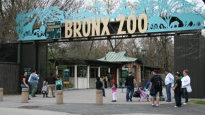 Bronx Zoo, USA 