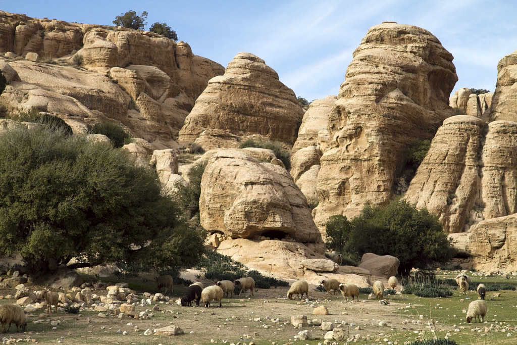 Dana Biosphere Reserve in Jordan