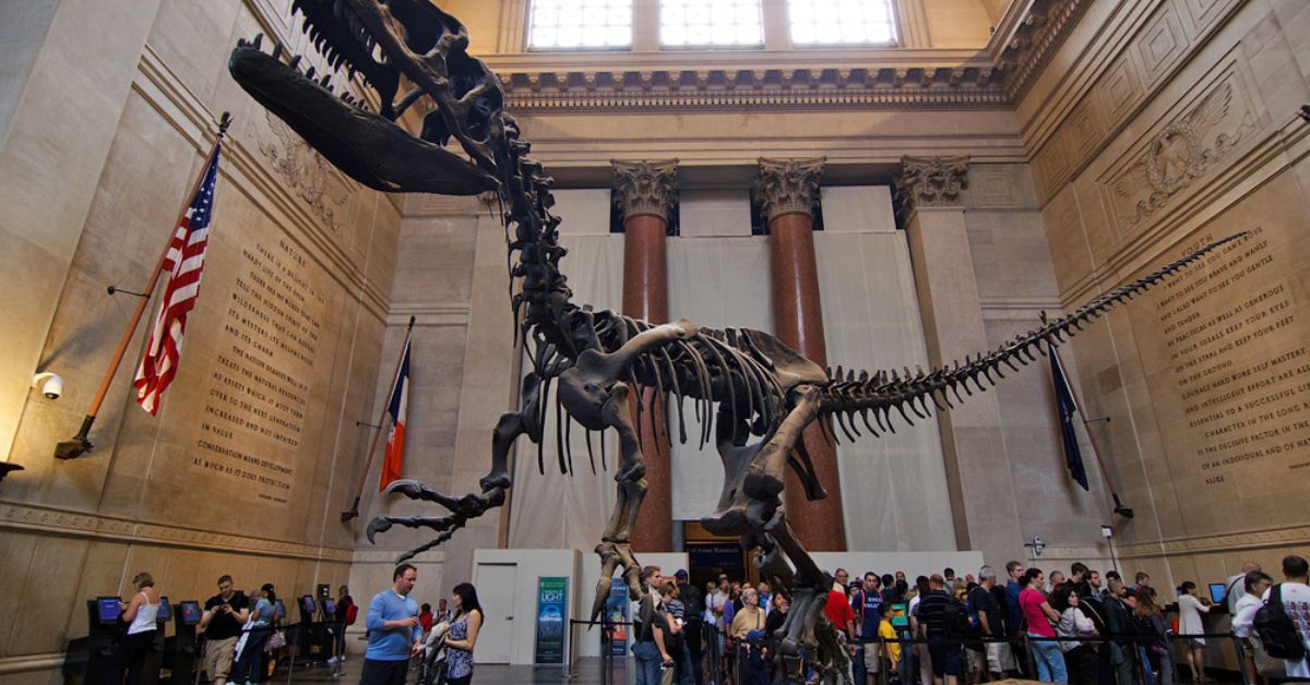 How long does it take to go around the American Museum of Natural History