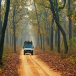 Jeep safari in Jim Corbett National Park, India, with tourists searching for wildlife.