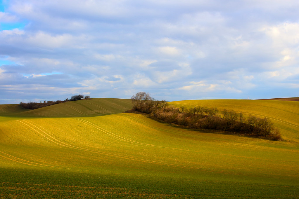 Moravian Fields, Czech Republic