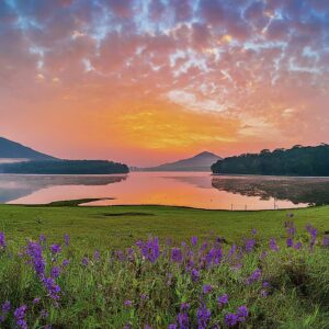Periyar National Park, India: Panoramic view of the park at sunrise with mist, lake, hills, and wildflowers.