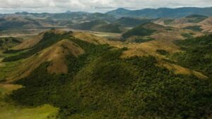 Rupununi Savanna An Expanse of Natural Beauty