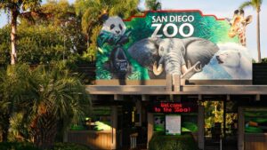 San Diego Zoo, USA 