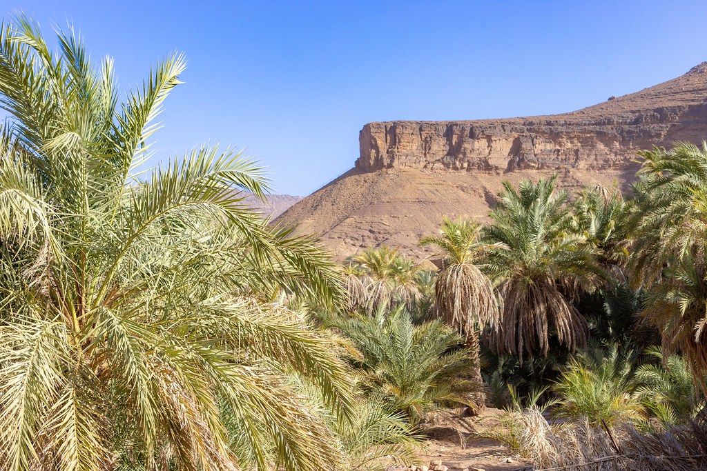 Terjit in Mauritania