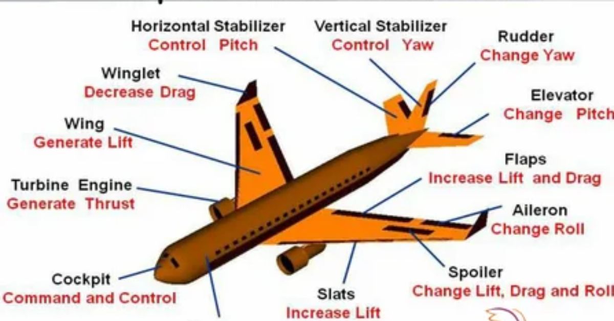 What type of airplane aircraft does French bee fly