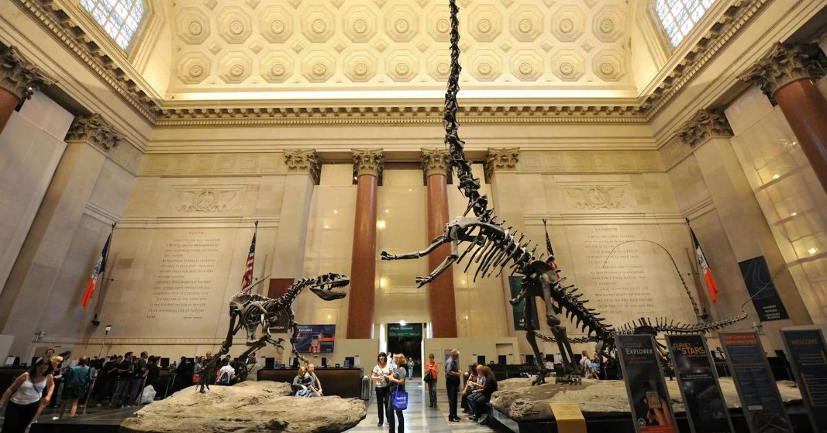 Where to eat near the American Museum of Natural History