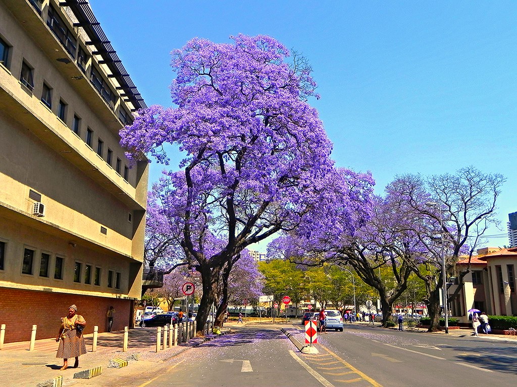 Pretoria in South Africa
