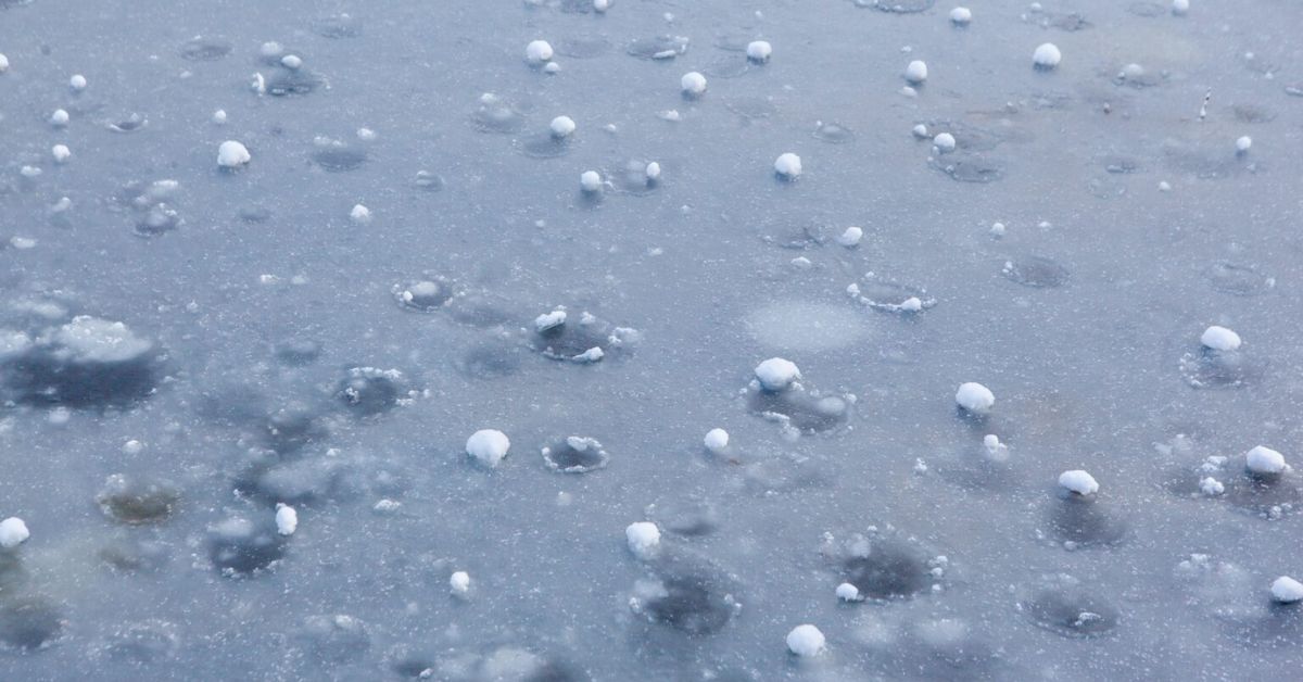 Understanding Hail Damage