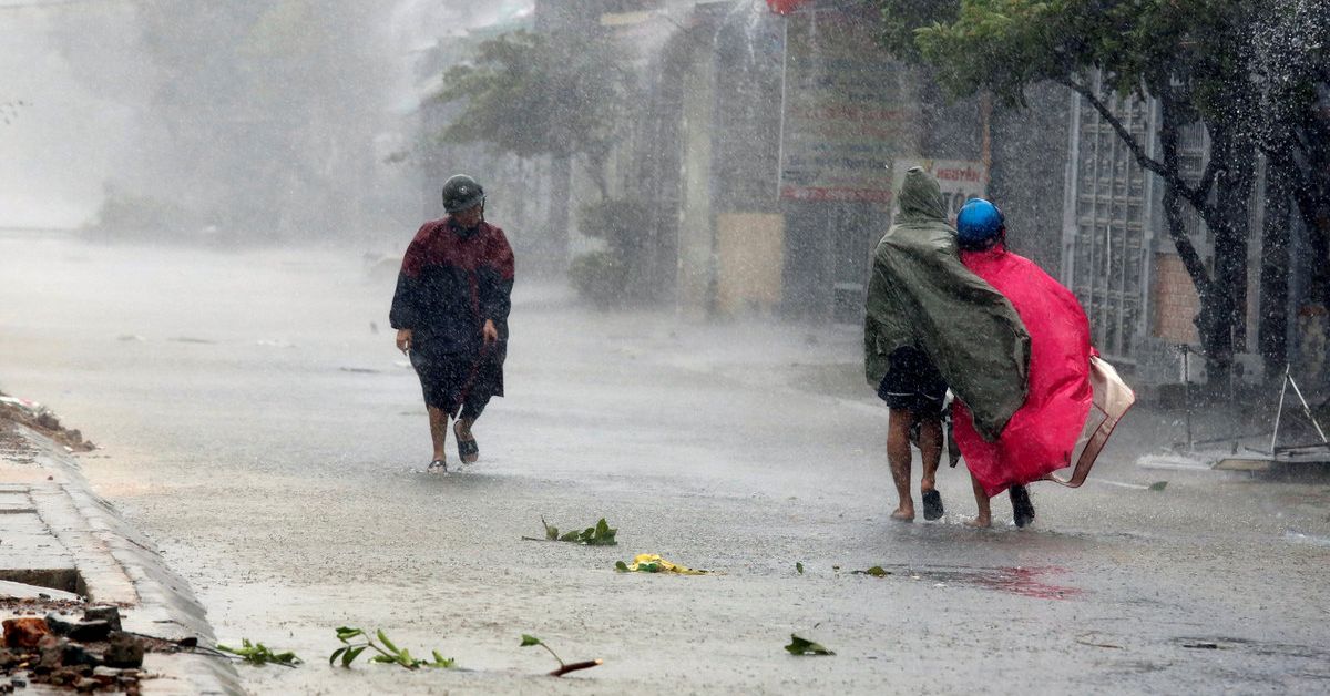 Weather Patterns Across Vietnam in January